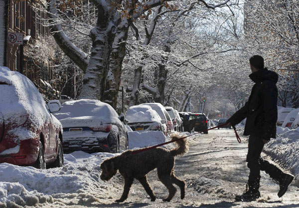 Falling ice from skyscrapers scares US cities