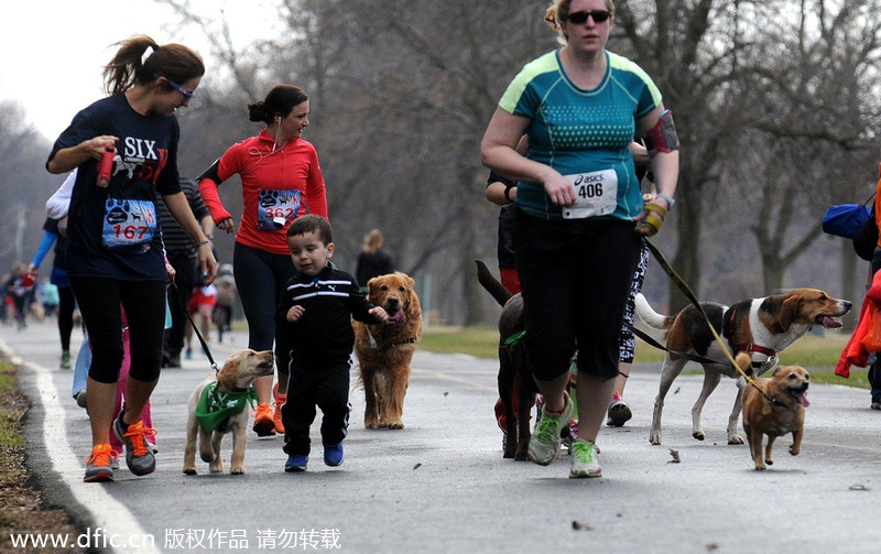 Runners and their 4-legged friends race in New York