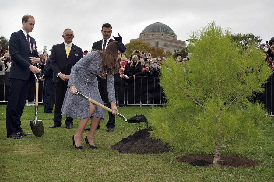 UK royals wrap up tour of Australia and NZ