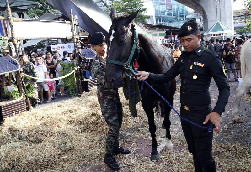 Thai junta aims to return happiness