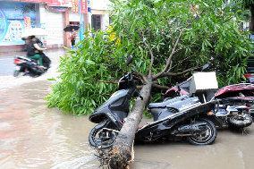 Bulgaria hit by heavy rain, 12 dead