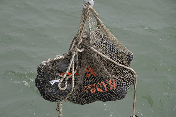 Four large parts of crashed AirAsia jet found