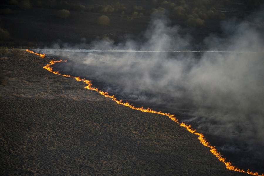 Forest fire threatens Ukraine's Chernobyl nuclear zone