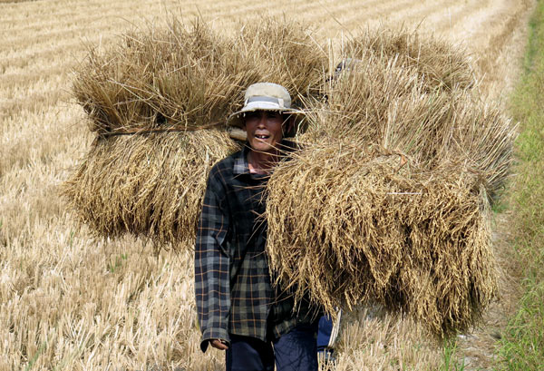 Ministry doubles water release to help drought-hit Vietnam