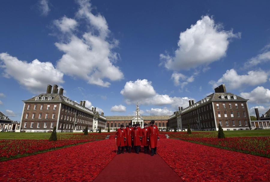 Blooming exhibits at London's Chelsea Flower Show