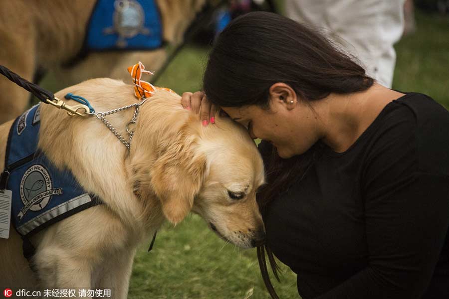 Therapy dog helps comfort mourners in Orlando