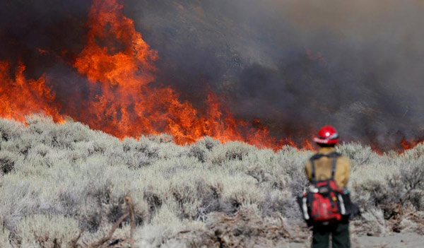 Southern California wildfire rages unchecked after evacuations