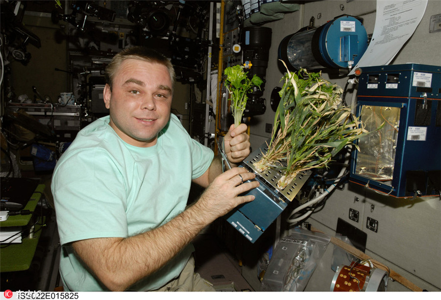 Glimpse into lifestyle of astronauts in space