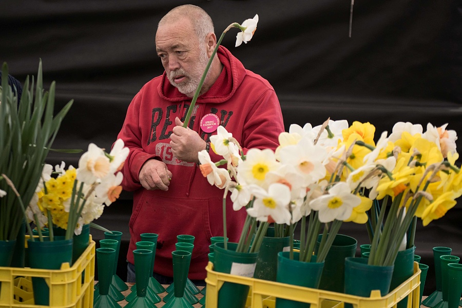 Flowers of all forms usher in Spring at Britain's biggest flower show