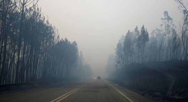 Death toll from forest fire raging in Portugal climbs to 62