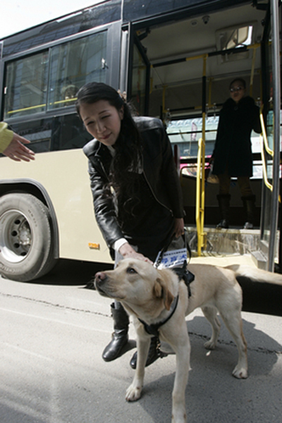 導(dǎo)盲犬，失明者的“眼睛”