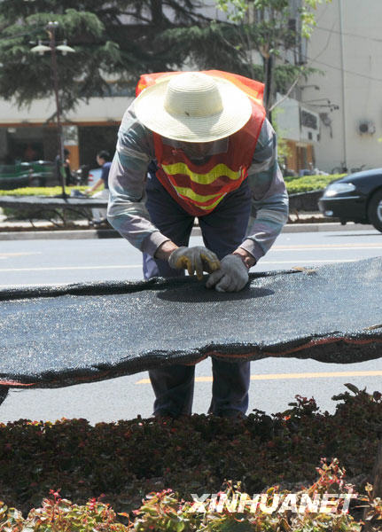 熱浪席卷全國17省市 多地區高溫超40℃(圖)